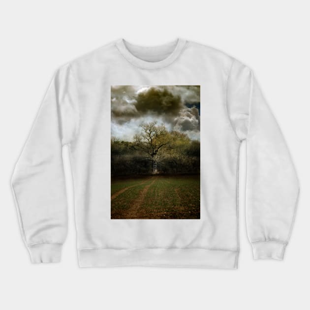 A Ladder to the Clouds Crewneck Sweatshirt by Nigdaw